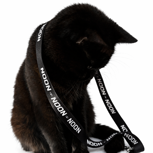 Noon lanyard